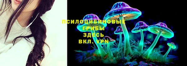spice Алексеевка