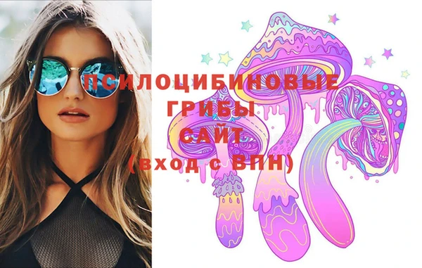 spice Алексеевка