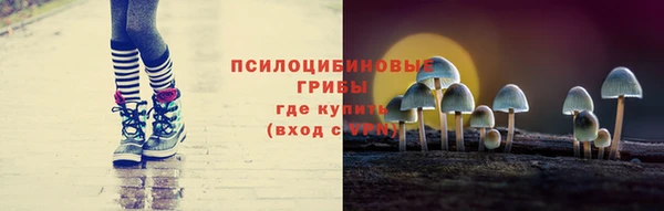 spice Алексеевка