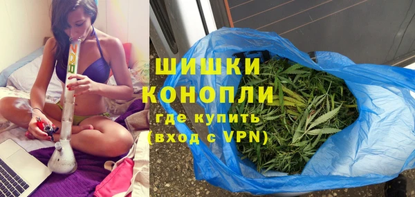 сатива Алзамай