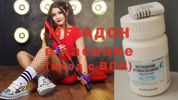 сатива Алзамай