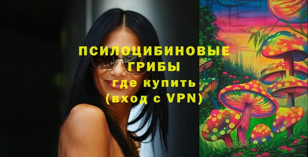 spice Алексеевка