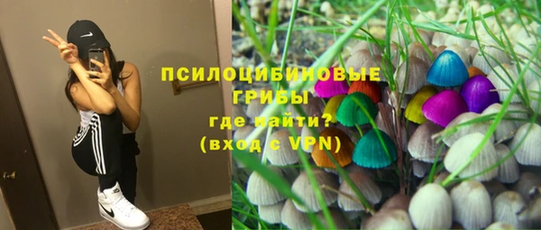 первитин Алексин