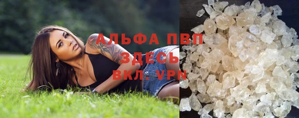 сатива Алзамай