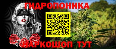 a pvp Аргун