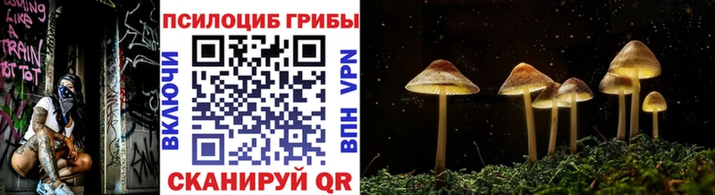 Псилоцибиновые грибы ЛСД  купить  сайты  kraken сайт  это Telegram  Волхов 