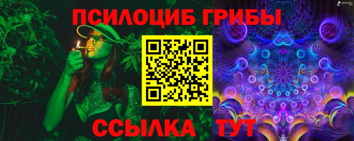 Псилоцибиновые грибы Cubensis Волхов