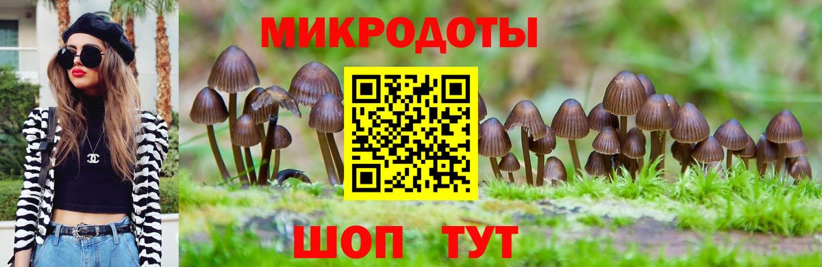 цена   Галлюциногенные грибы MAGIC MUSHROOMS  Вход с VPN  Псилоцибиновые грибы Magic Shrooms  Волхов 